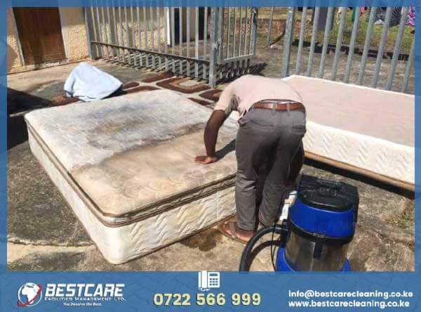 Mattress Cleaning Services